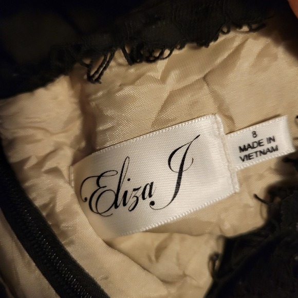 Eliza J Black Lace Fit/Flare Cocktail Party Dress - Picture 2 of 4